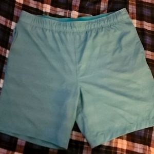 Speedo blue green swim trunks